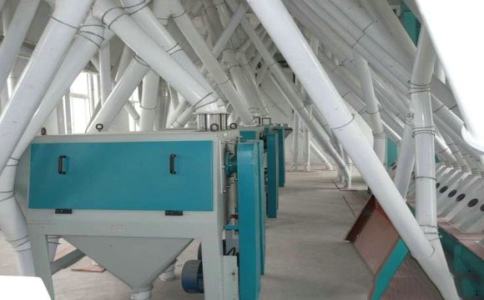 小麥面粉磨粉機